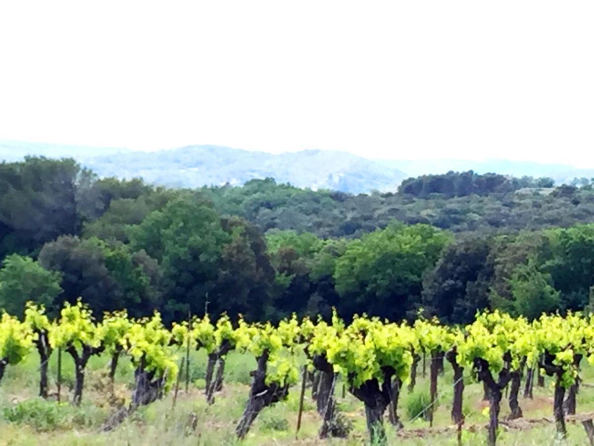Le Clos Soleilhan Saint-Gervais  Dış mekan fotoğraf